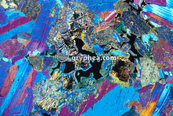 Gabbro LPA et lame quart d'onde x4 - gryphea.org